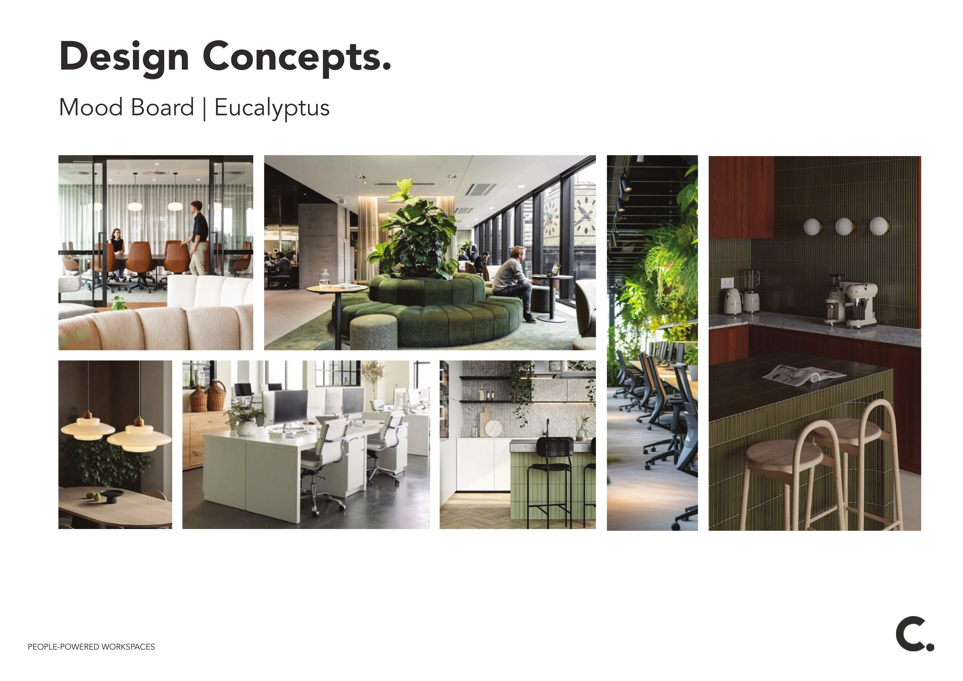 Direction 3 Eucalyptus — Mood Board